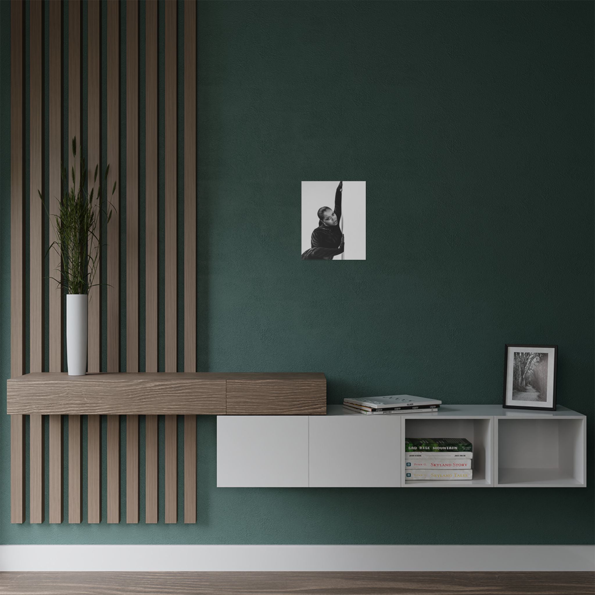 Black & White Fashion Satin Poster — Glamorous Pole Dance Portrait